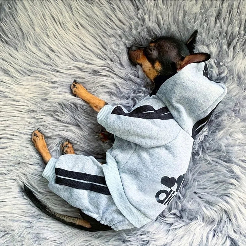 Dog Tracksuit Outfit